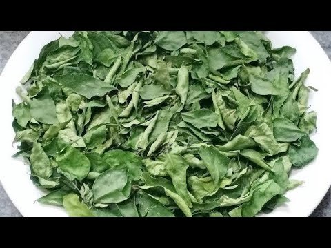 curry-leaves-13 (1)-7866760-90296.jpg